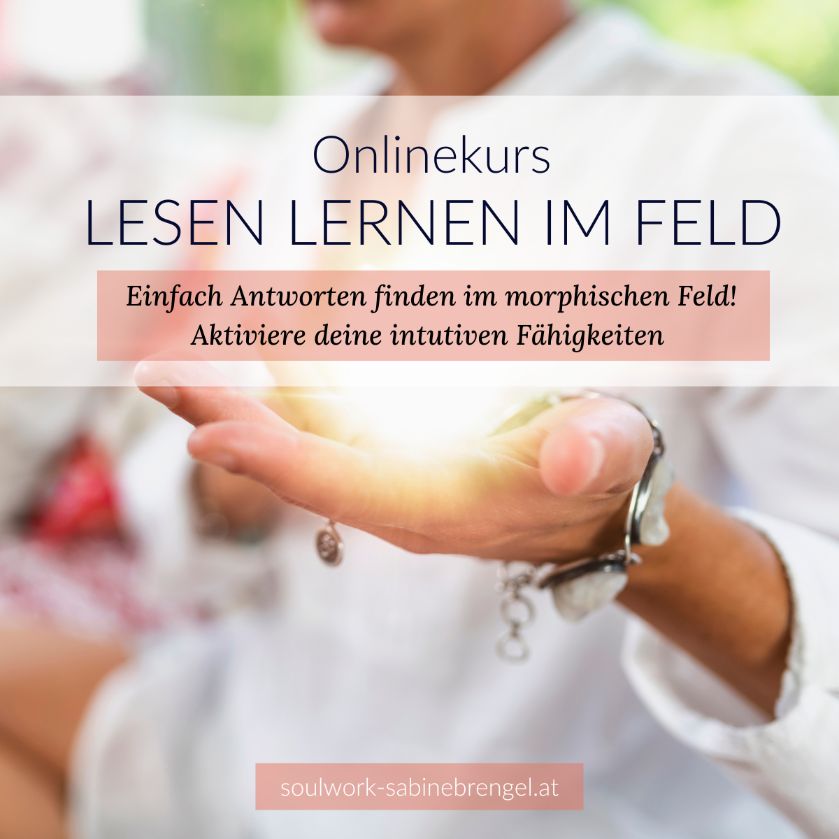 Onlinekurs lesen lernen im morphischen Feld